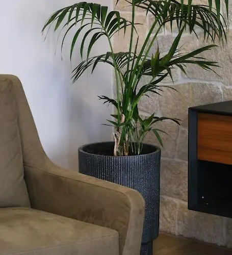 In Heart Of Old Town Saint Rocco's Chic *